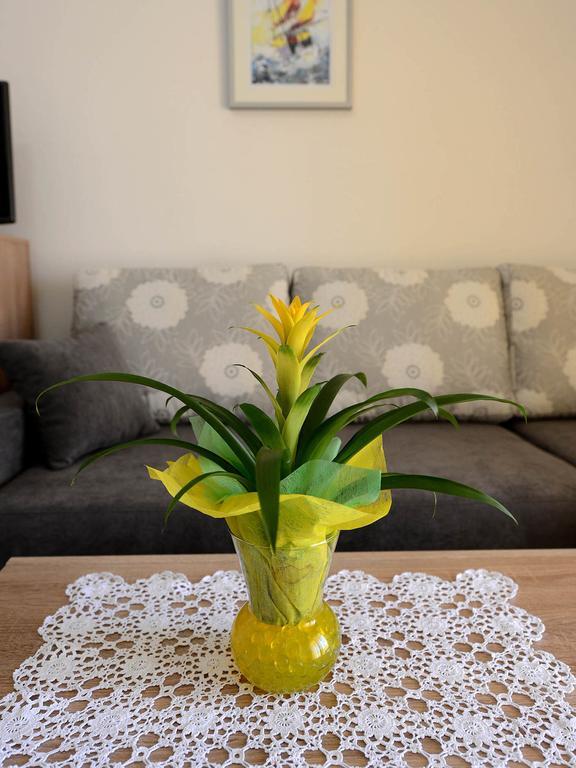 Apartman Adriana Zadar Extérieur photo